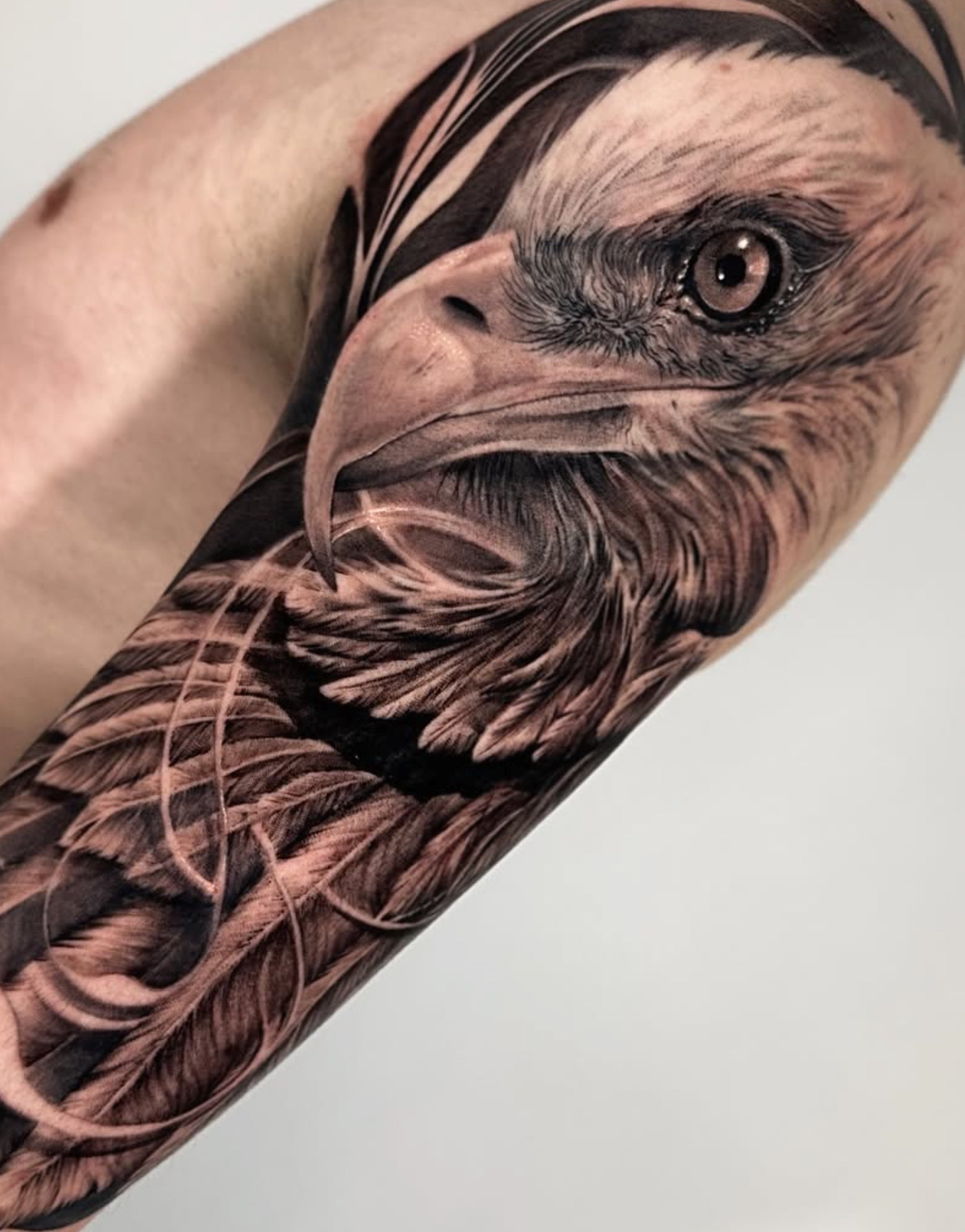 Ferink